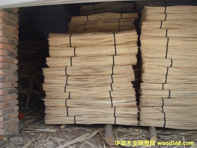 ��(y��u)�|(zh��)���(sh��)����Ƥ