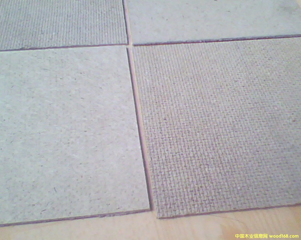 �����|���w�S��