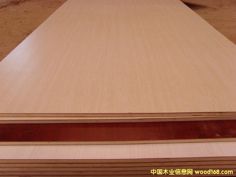 ��ľ���Ӱ� ����ľ�y