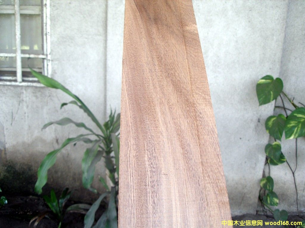 ��ľ��ĵ�Ԕ����B