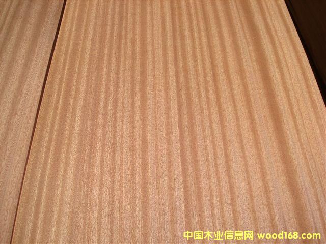 ����-0.6ɳ����