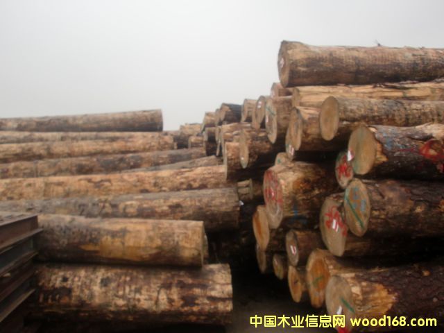 �����m��ԭľ