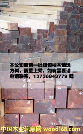 ������ľ���ϵ�Ԕ����B