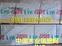 ���_˹������