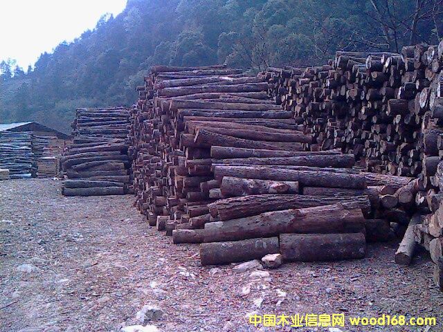 ���NҎ��ΰ��Ԕ����B