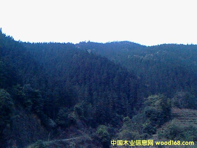 �ֈ�2��Ԕ����B