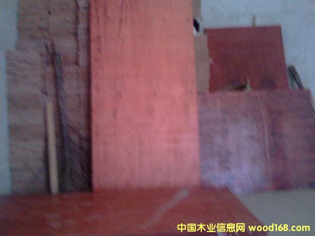 ģ���Ԕ����B