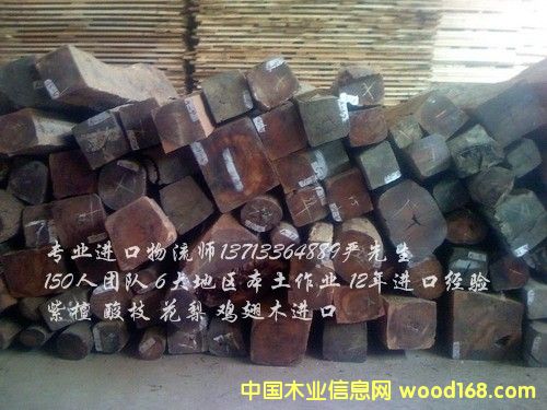 �����ֈ���ُľ�Ĵ���/ԭľ�M(j��n)�ڈ��P(gu��n)