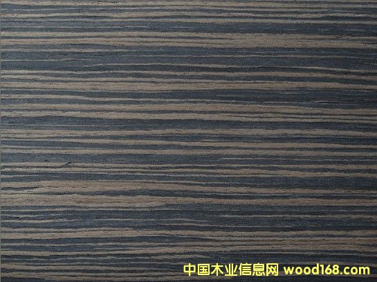 ��̴��Ԕ����B