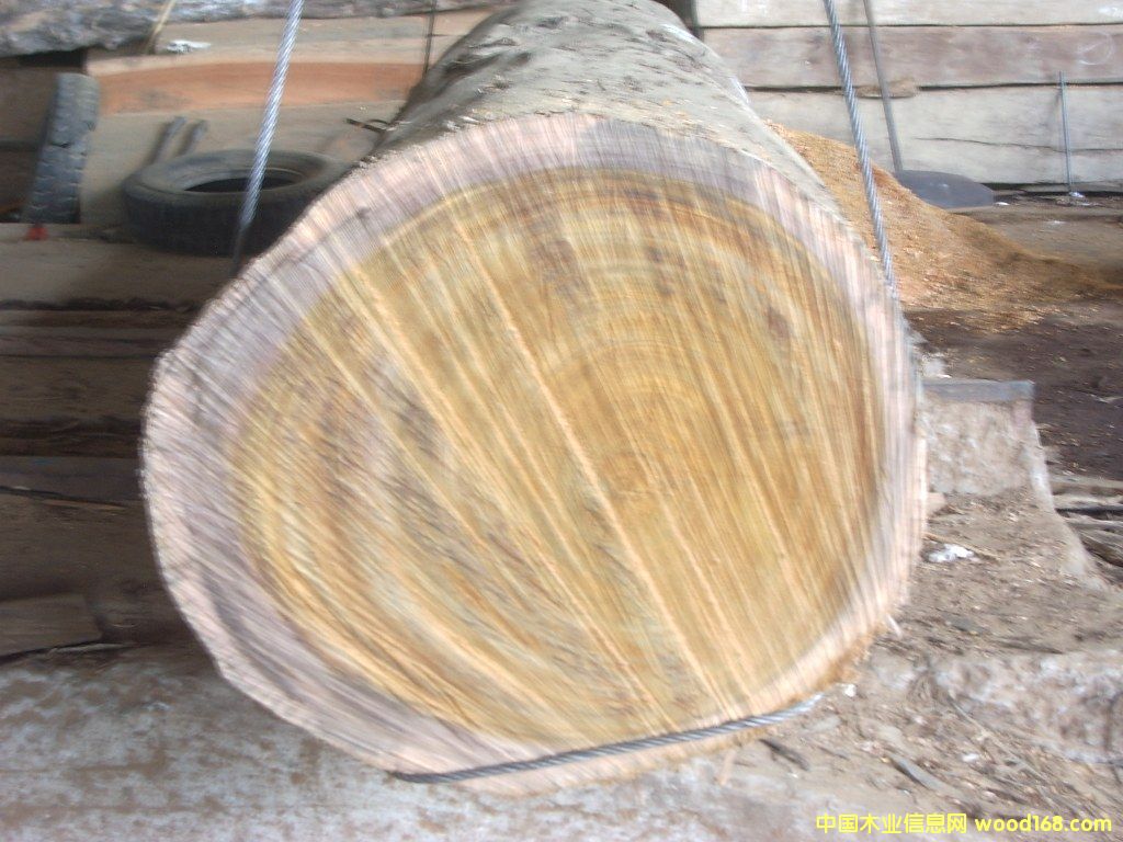 �W������/���/ԭ�ĵ�Ԕ����B