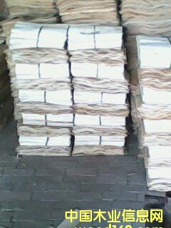 ��ľ�ΰ��Ԕ����B