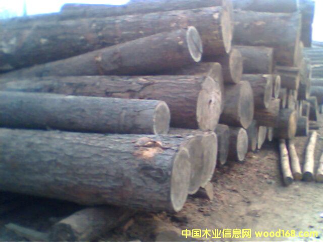 �t��ԭľ��ķ���ľ��Ԕ����B