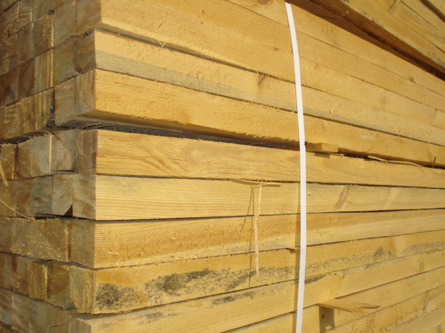 ľ����Ԕ����B