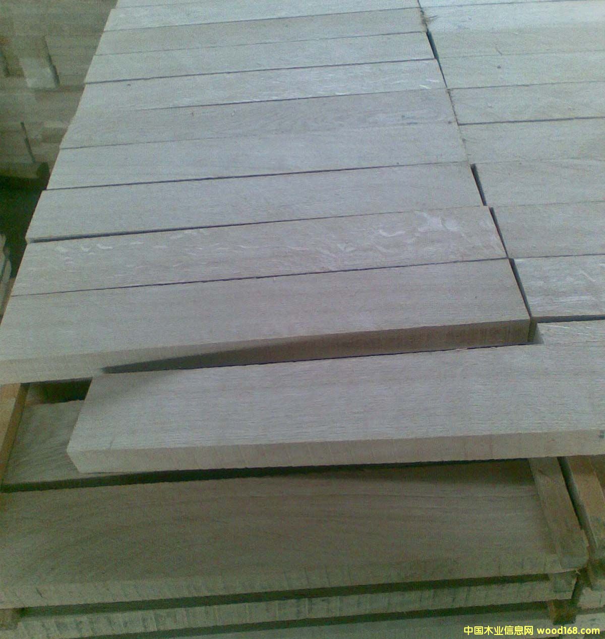 �����m��ľ��Ԕ����B