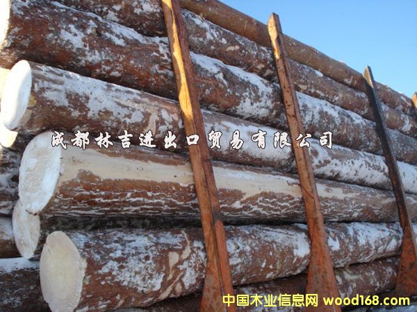 ������ ԭľ