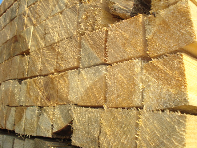 ľ����Ԕ����B