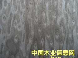 K.Y��؈�۵�Ԕ����B