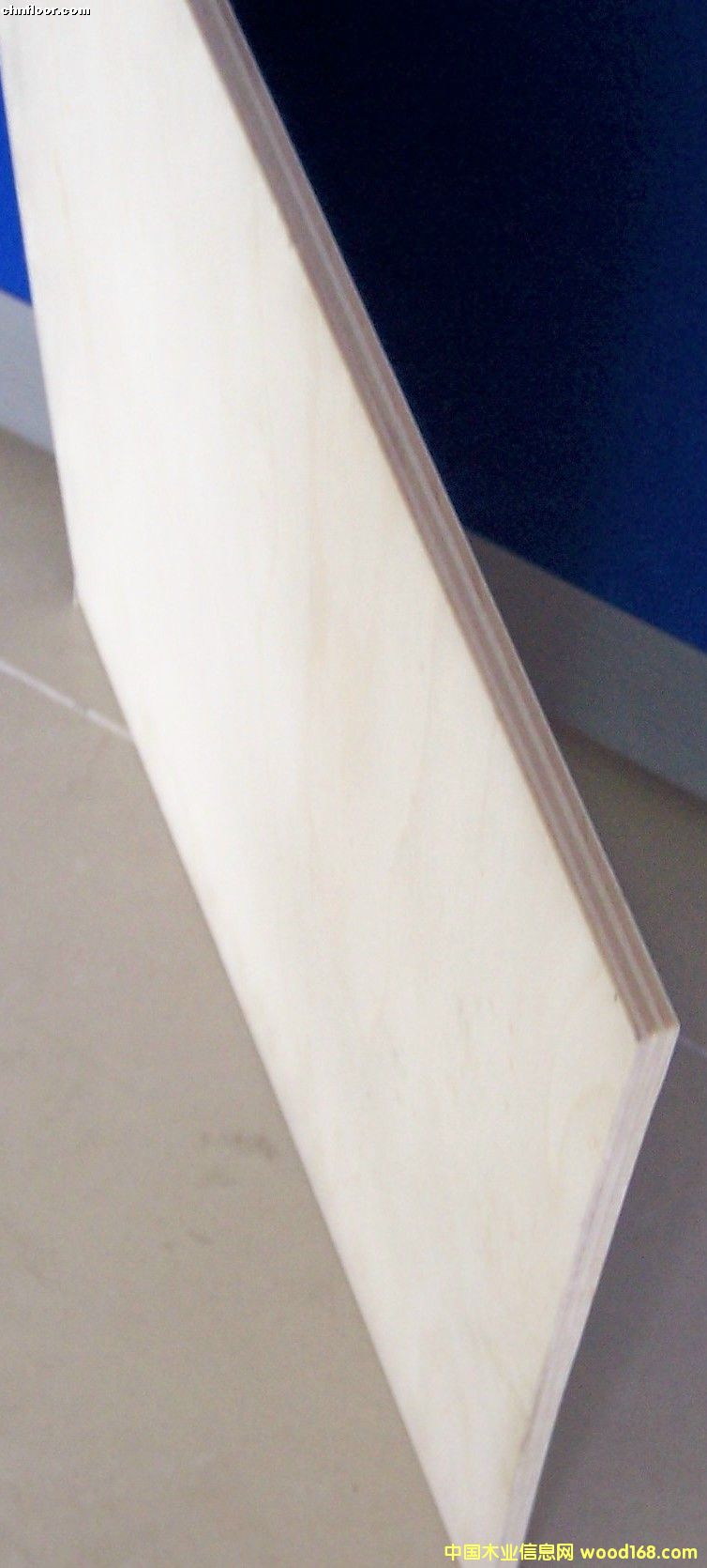 ��ľ�ذ���ĵ�Ԕ����B