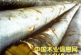 ɽë��ԭľ��Ƭ��Ԕ����B