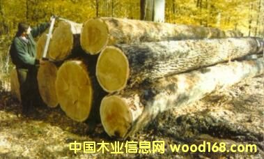 ��ľԭľ��Ƭ��Ԕ����B