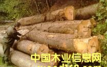 ����ľ��Ƭ��Ԕ����B