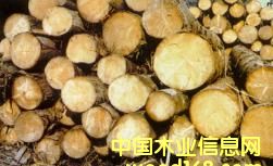 ɼľԭľ��Ƭ��Ԕ����B