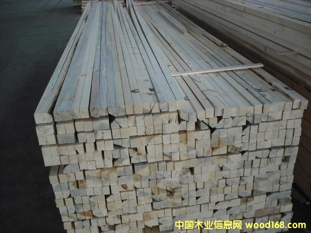 �c���鿴spf����ľ�l�Ŵ�DƬ