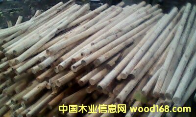 �c(di��n)���鿴ľ�� �Ŵ�DƬ