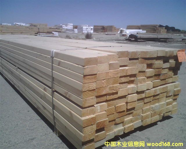 ݗ���ɵ�Ԕ����B