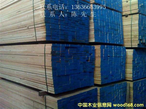 �����Fɼ���