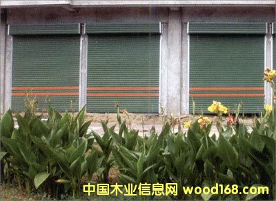 �����T��ơ�ľ�|