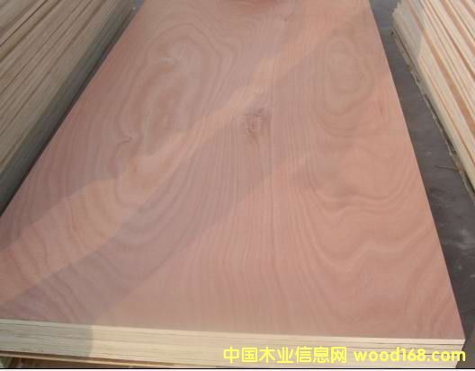 ��ľ�����Ԕ����B