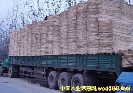 ��ľ����Ƥ��Ԕ����B