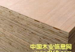 ��(x��)ľ����