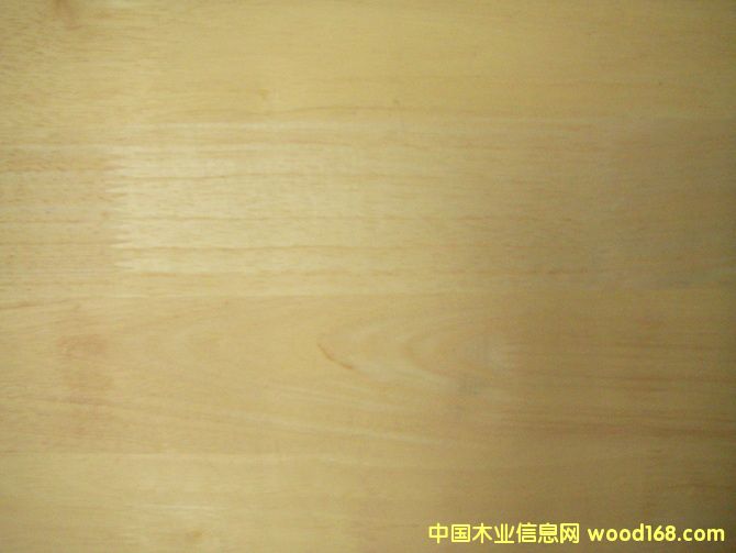 ���zľָ�Ӱ��Ԕ����B