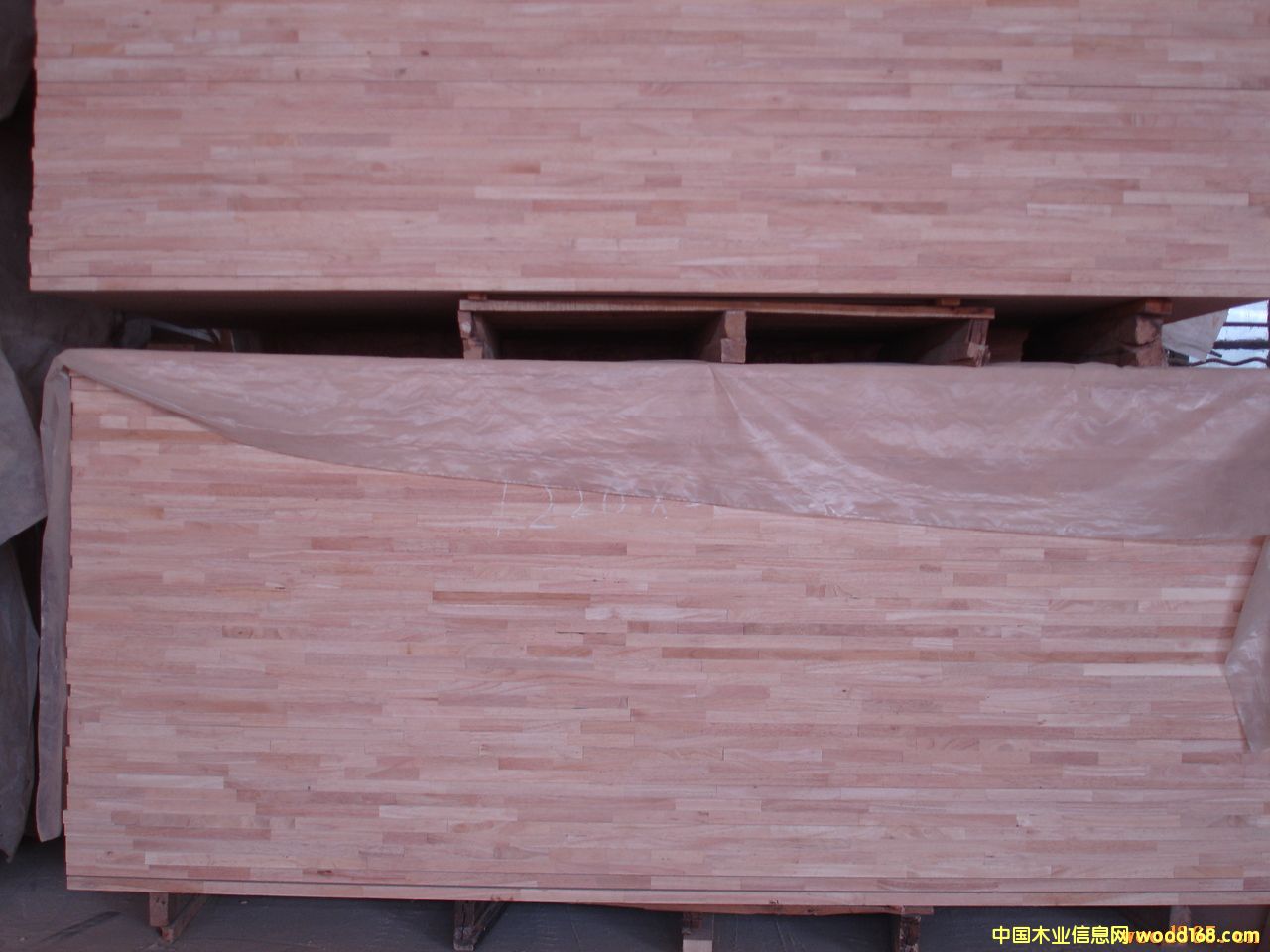 ���zľָ�Ӱ��Ԕ����B