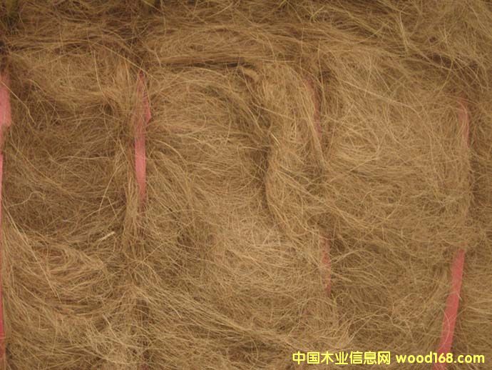 ����Ҭ�ص�Ԕ����B