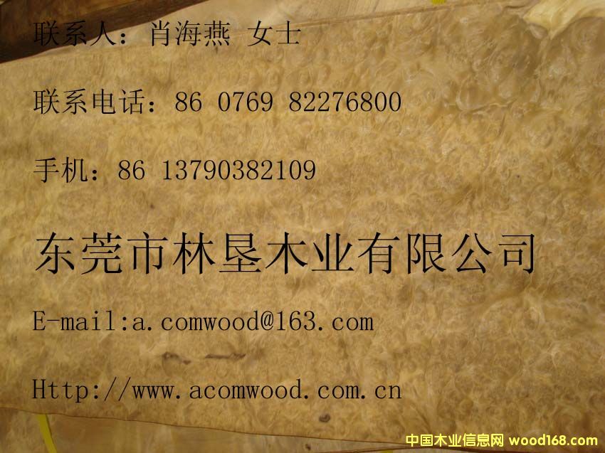 �S������(sh��)��