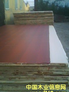 �����谷�N�漚(x��)ľ����