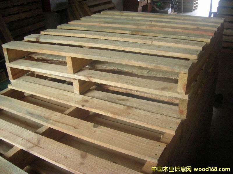 ���������Ԕ��(x��)��B