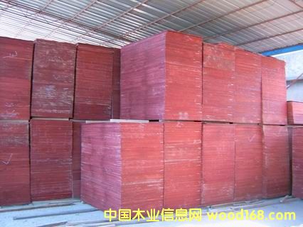 ����ģ���Ԕ����B