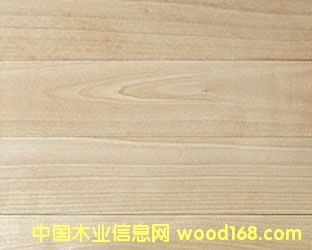 ��ľ�ذ��Ԕ����B