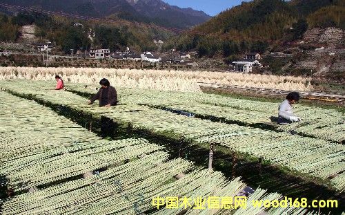 ��z��Ԕ����B