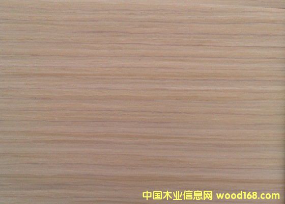 ���ټҾ�ľƤ��Ԕ��(x��)��B