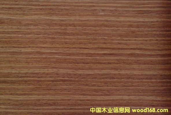 �\���ҵ�Ԕ����B