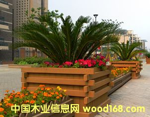 ��ľ����