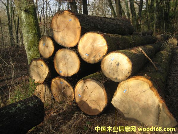 �W�ް���2��Ԕ��(x��)��B