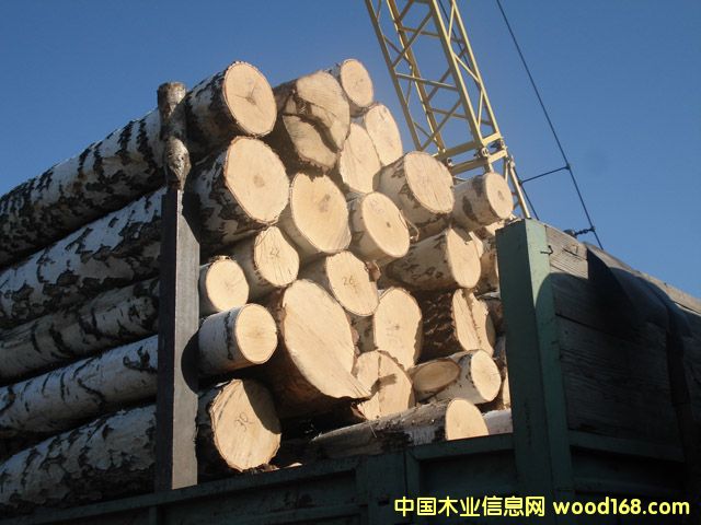 ���_˹�ט�4