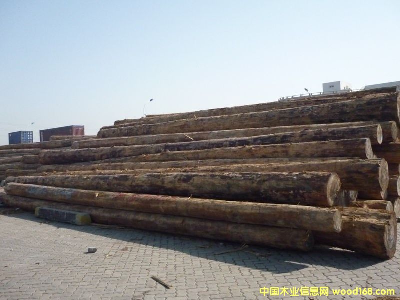 �Fɼԭľ��Ԕ����B