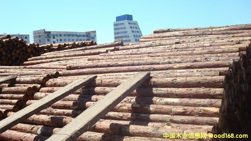 ���~�ɵ�Ԕ����B